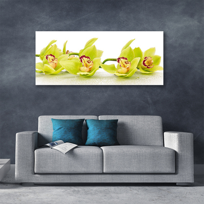 Photo sur toile Fleurs floral vert