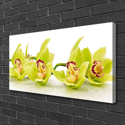 Photo sur toile Fleurs floral vert