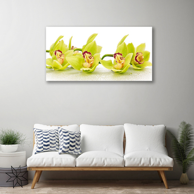 Photo sur toile Fleurs floral vert