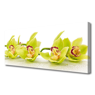 Photo sur toile Fleurs floral vert