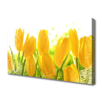 Photo sur toile Tulipes floral jaune vert