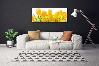 Photo sur toile Tulipes floral jaune vert