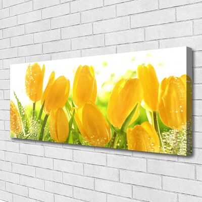 Photo sur toile Tulipes floral jaune vert