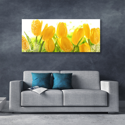 Photo sur toile Tulipes floral jaune vert