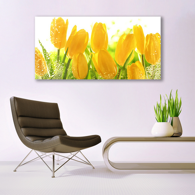 Photo sur toile Tulipes floral jaune vert