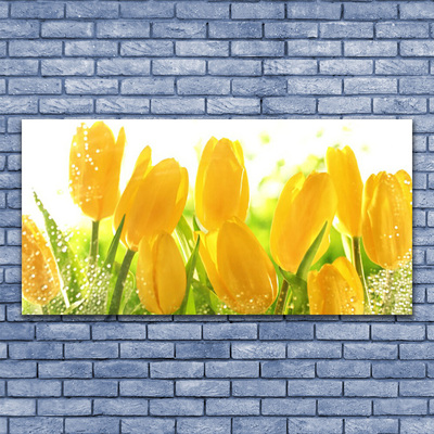 Photo sur toile Tulipes floral jaune vert