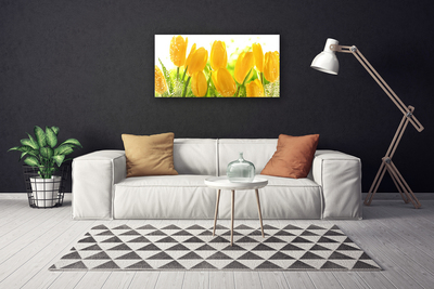 Photo sur toile Tulipes floral jaune vert