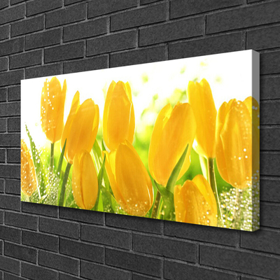 Photo sur toile Tulipes floral jaune vert