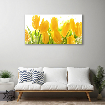 Photo sur toile Tulipes floral jaune vert