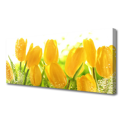 Photo sur toile Tulipes floral jaune vert