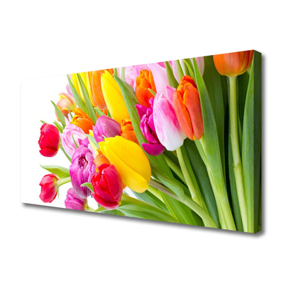 Photo sur toile Tulipes floral multicolore