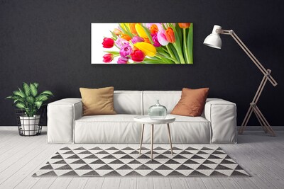 Photo sur toile Tulipes floral multicolore