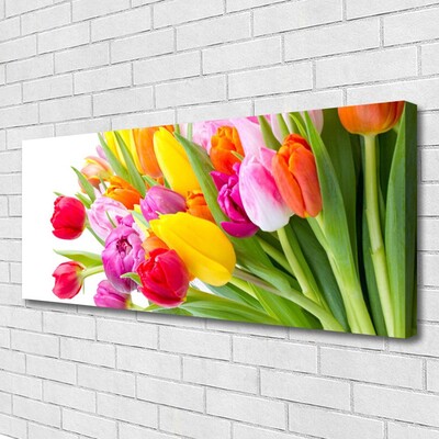 Photo sur toile Tulipes floral multicolore