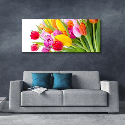 Photo sur toile Tulipes floral multicolore