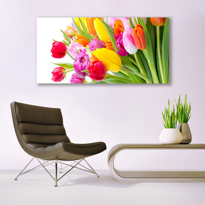 Photo sur toile Tulipes floral multicolore