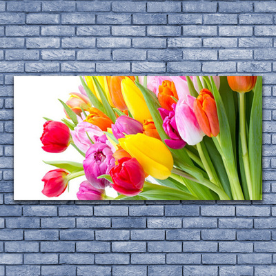 Photo sur toile Tulipes floral multicolore