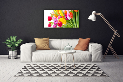 Photo sur toile Tulipes floral multicolore