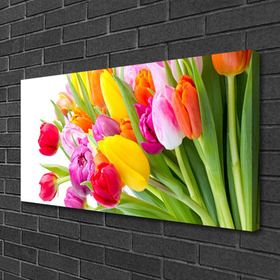 Photo sur toile Tulipes floral multicolore