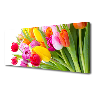 Photo sur toile Tulipes floral multicolore