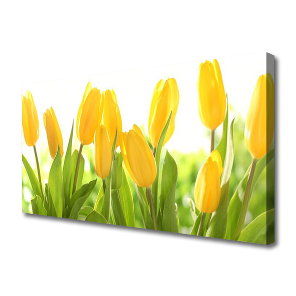 Photo sur toile Tulipes floral jaune vert