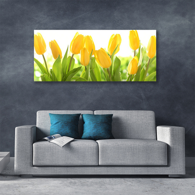 Photo sur toile Tulipes floral jaune vert