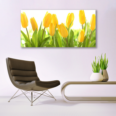 Photo sur toile Tulipes floral jaune vert