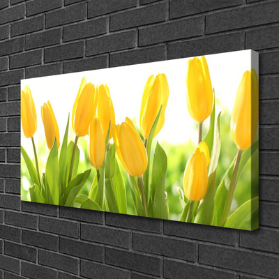 Photo sur toile Tulipes floral jaune vert