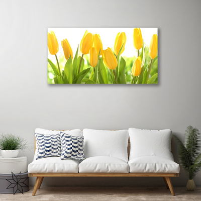 Photo sur toile Tulipes floral jaune vert
