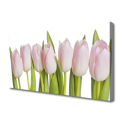 Photo sur toile Tulipes floral rose vert