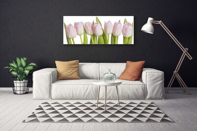 Photo sur toile Tulipes floral rose vert