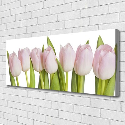 Photo sur toile Tulipes floral rose vert