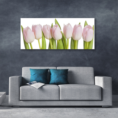 Photo sur toile Tulipes floral rose vert