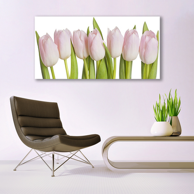 Photo sur toile Tulipes floral rose vert