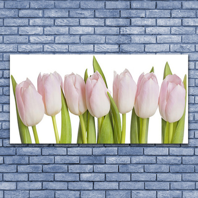 Photo sur toile Tulipes floral rose vert