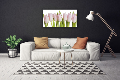 Photo sur toile Tulipes floral rose vert