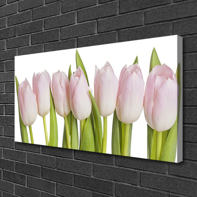 Photo sur toile Tulipes floral rose vert