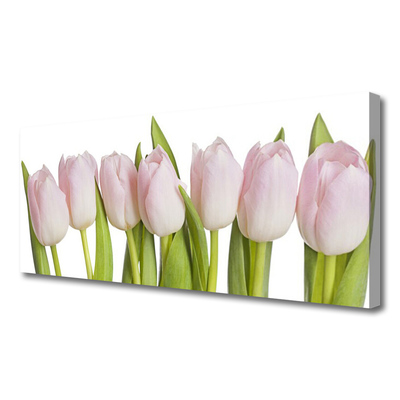 Photo sur toile Tulipes floral rose vert