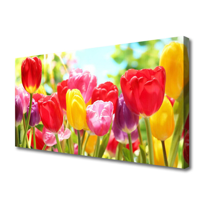 Photo sur toile Tulipes floral rouge jaune