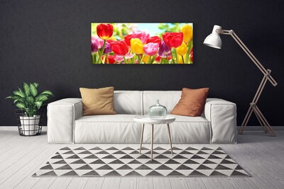 Photo sur toile Tulipes floral rouge jaune