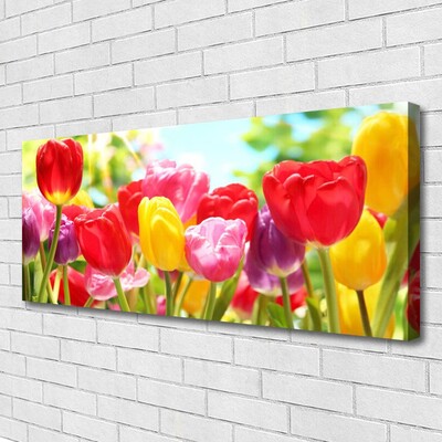 Photo sur toile Tulipes floral rouge jaune