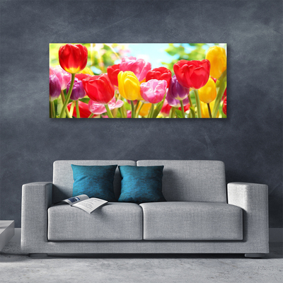 Photo sur toile Tulipes floral rouge jaune