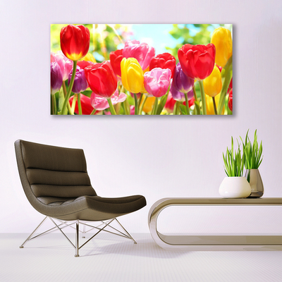 Photo sur toile Tulipes floral rouge jaune