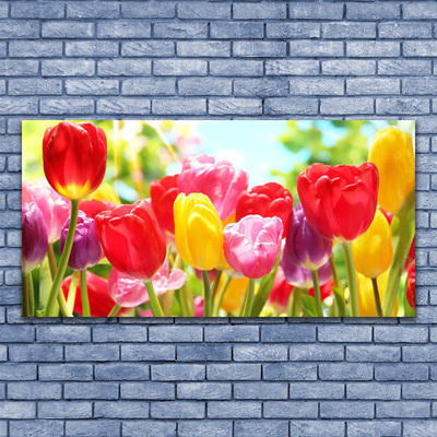 Photo sur toile Tulipes floral rouge jaune