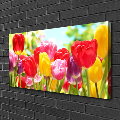 Photo sur toile Tulipes floral rouge jaune