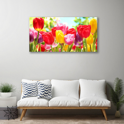 Photo sur toile Tulipes floral rouge jaune