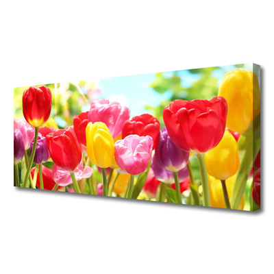 Photo sur toile Tulipes floral rouge jaune