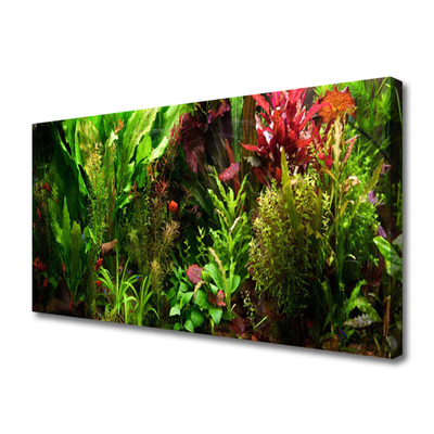 Photo sur toile Plantes nature vert orange