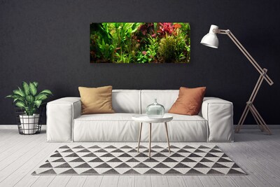 Photo sur toile Plantes nature vert orange