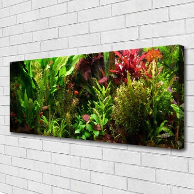 Photo sur toile Plantes nature vert orange