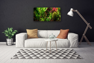 Photo sur toile Plantes nature vert orange